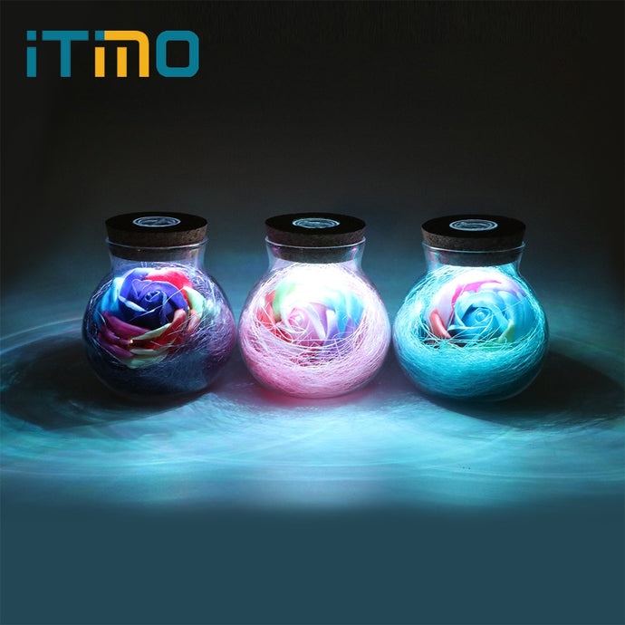 iTimo LED Romantic Bulb RGB Dimmer Lamp Rose Flower Bottle Light with Remote Control Night Light For Mom Lady Girl Birthday Gift